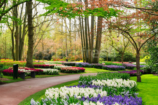 Formal spring garden Stock photo © neirfy