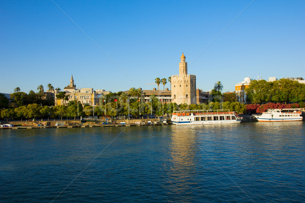 cityscape of Seville with Guadalquivir, Spain Stock photo © neirfy
