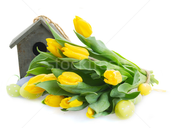 黃色 鬱金香 鳥籠 復活節彩蛋 孤立 白 商業照片 © neirfy