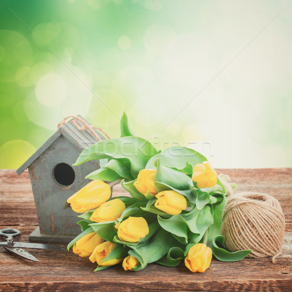 Gelb Tulpen Vogelkäfig frischen Tabelle grünen Stock foto © neirfy