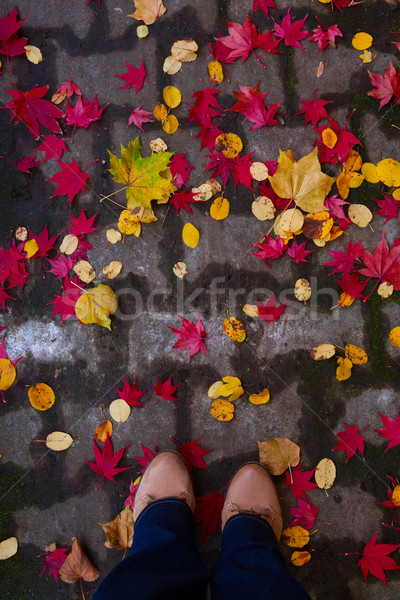 Someones legs on fall road Stock photo © neirfy