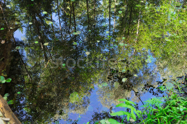 Stock photo: Blue clear lake