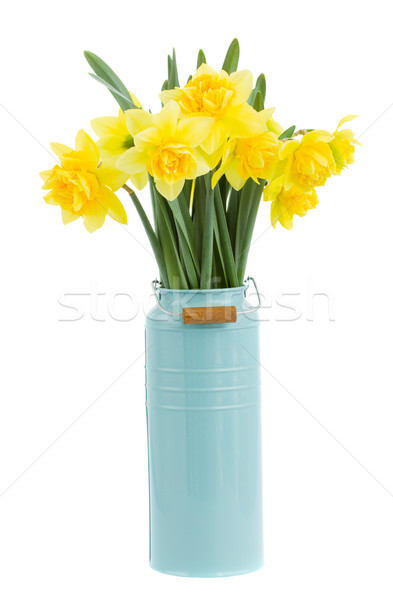 bouquet of narcissus in vase Stock photo © neirfy