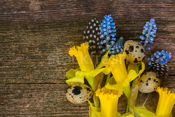 Muscari, daffodils and eggs Stock photo © neirfy