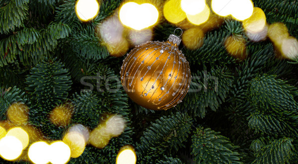 Noël evergreen arbre fraîches or balle Photo stock © neirfy
