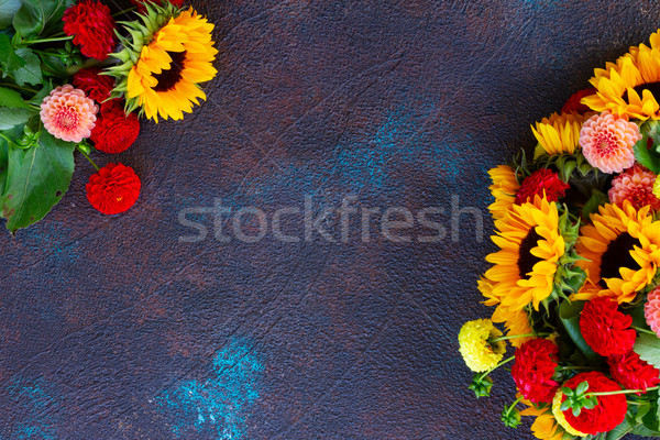 Dahlie Sonnenblumen Rahmen dunkel blau Kopie Raum Stock foto © neirfy