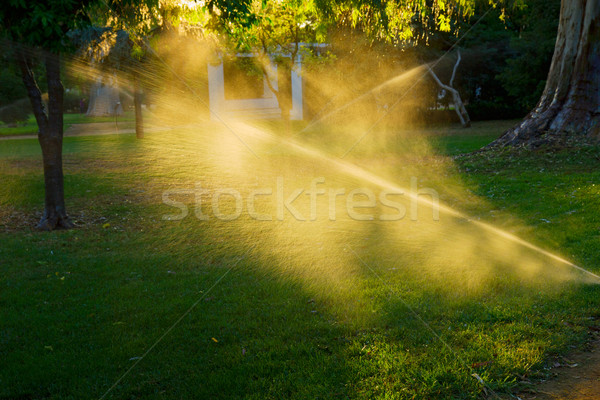 Stock foto: Sprinkler · Automatik · Bewässerung · Gras · Sonnenuntergang · Sonne