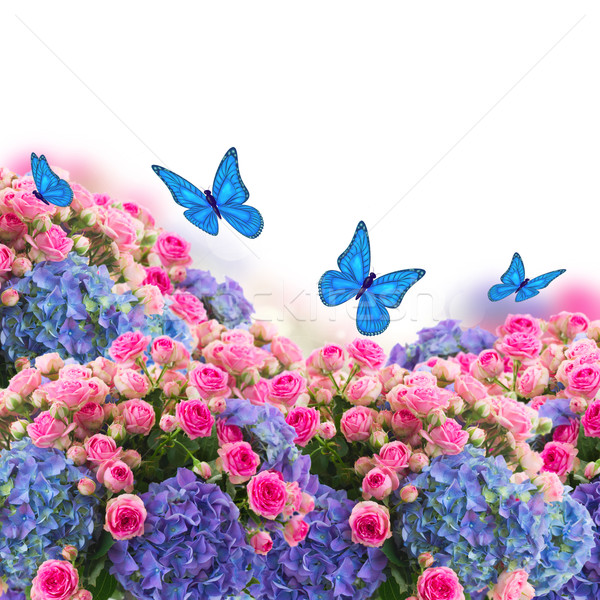 bunch of roses and  hortensia flowers with betterflies Stock photo © neirfy