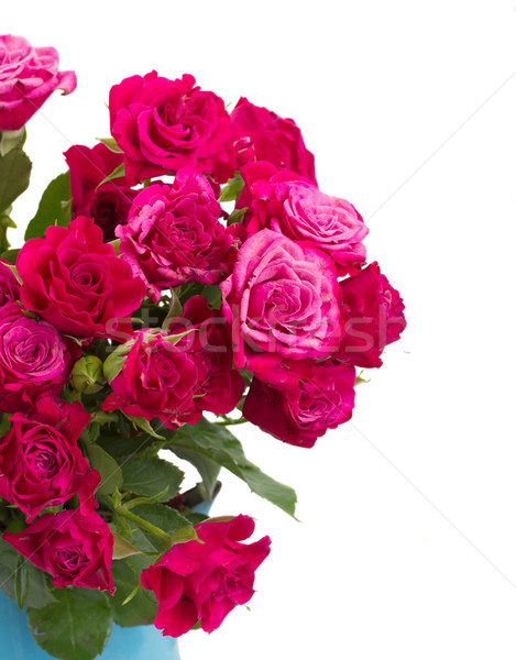bunch of  fresh mauve roses Stock photo © neirfy