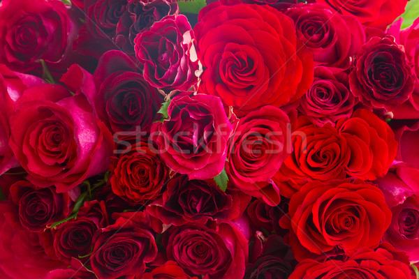 Red roses bukiet świeże kwiat kwiaty Zdjęcia stock © neirfy