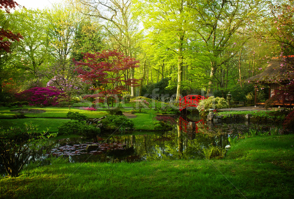 Japanese garden in spring Stock photo © neirfy
