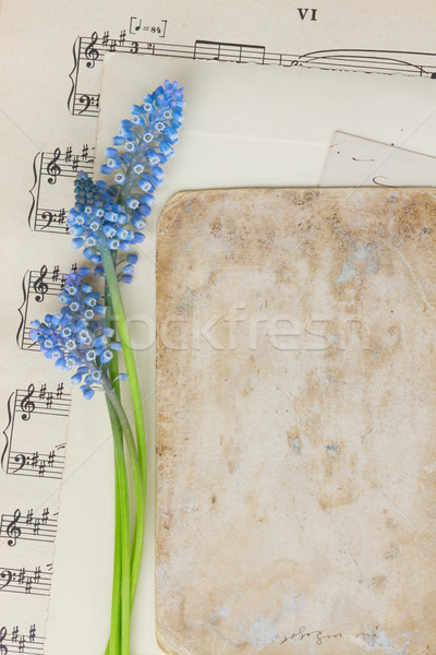 Muscari flowers and paper note Stock photo © neirfy