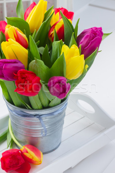 bouquet of  yellow, purple and red  tulips Stock photo © neirfy