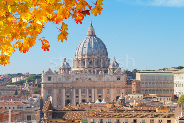 St. Peter's cathedral  in Rome, Italy Stock photo © neirfy