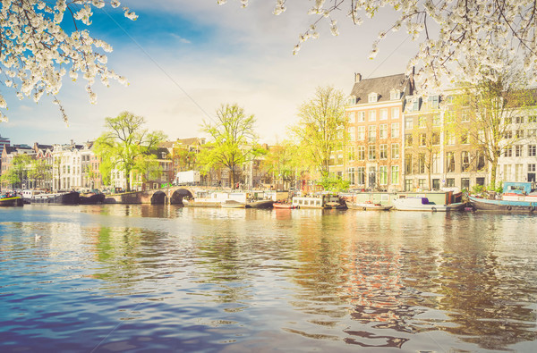 阿姆斯特丹 春天 荷蘭 天空 商業照片 © neirfy