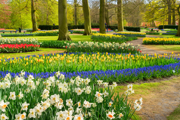 Formal spring garden Stock photo © neirfy