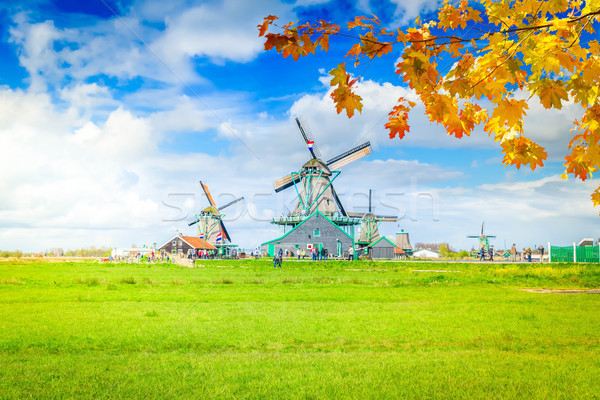 Foto stock: Holandés · viento · tradicional · paisaje · molino · de · viento · otono