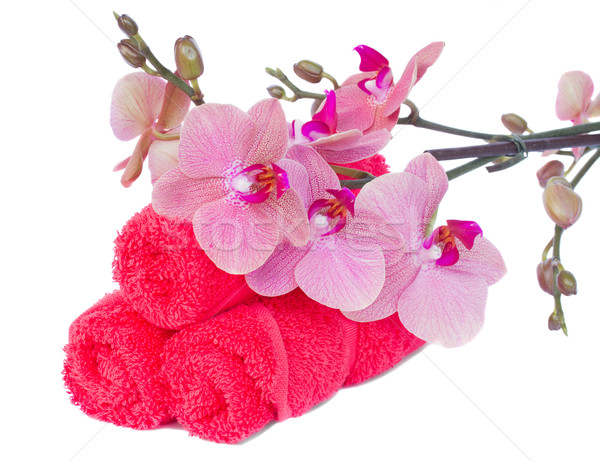 bath towels with orchids Stock photo © neirfy
