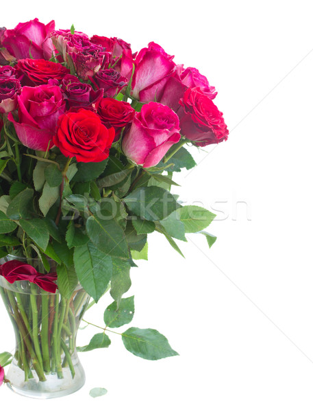 Border of red and pink roses  Stock photo © neirfy