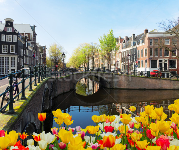 房屋 阿姆斯特丹 荷蘭 橋 鬱金香 商業照片 © neirfy