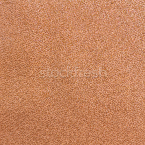 leather background Stock photo © neirfy