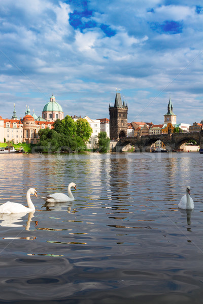 Pont blanche rivière Prague bâtiment ville [[stock_photo]] © neirfy