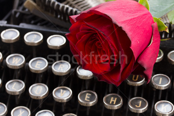 Rose Red máquina de escribir uno frescos vintage amor Foto stock © neirfy
