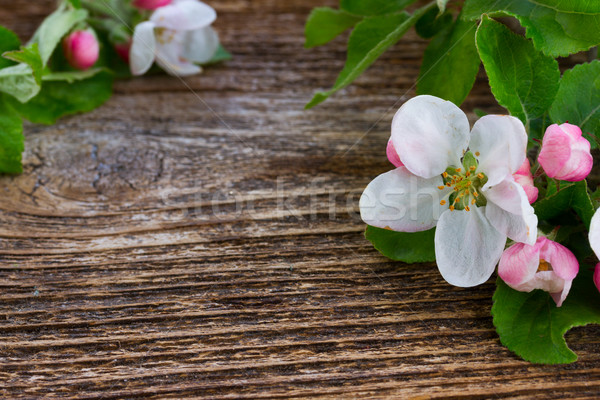 Melo fiore foglie verdi frame legno albero Foto d'archivio © neirfy