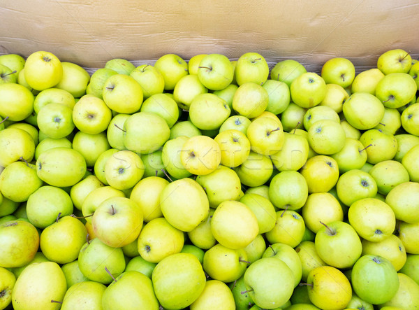 apples on market Stock photo © neirfy