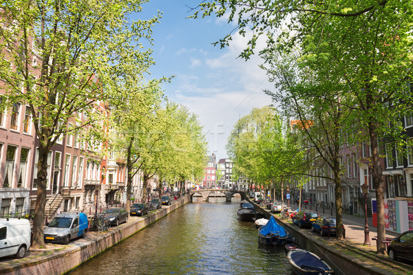Stock foto: Ein · Amsterdam · holland · Altstadt · grünen · Bäume