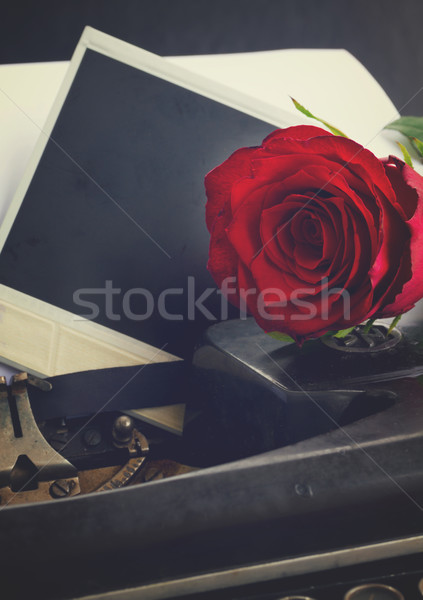Czerwona róża maszyny do pisania świeże vintage natychmiastowy retro Zdjęcia stock © neirfy