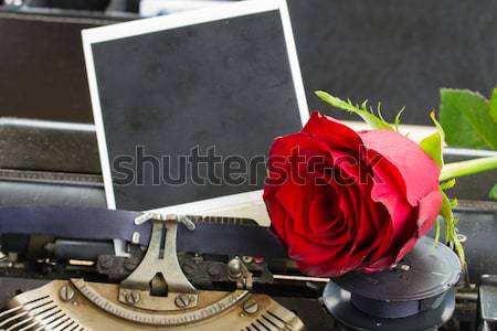 Czerwona róża maszyny do pisania natychmiastowy kwiaty vintage retro Zdjęcia stock © neirfy