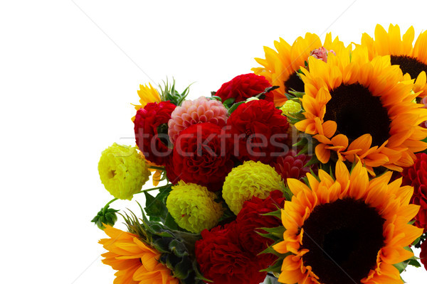 Stockfoto: Dahlia · zonnebloemen · boeket · geïsoleerd · witte