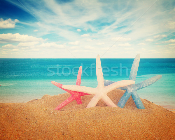 üç denizyıldızı kum pembe kırmızı mavi Stok fotoğraf © neirfy