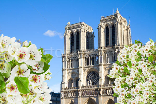 facade of Notre Dame cathedral, Paris, France Stock photo © neirfy