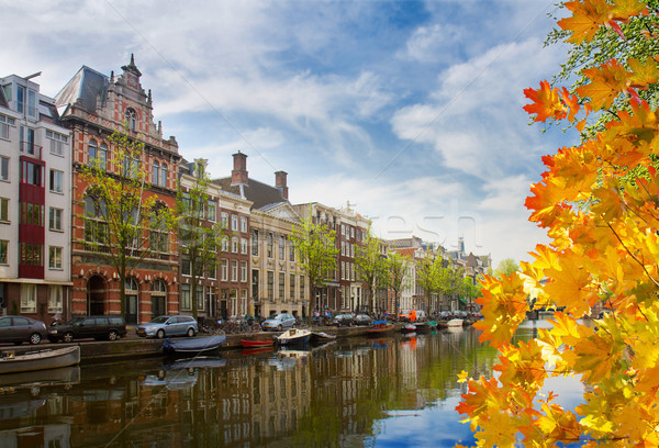 [[stock_photo]]: Une · Amsterdam · holland · vieille · ville · vert · arbres