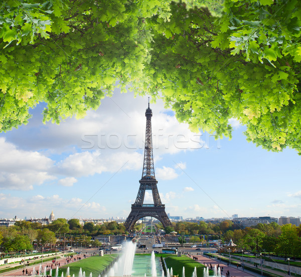 Eiffel tour Parijs zomer dag Frankrijk Stockfoto © neirfy