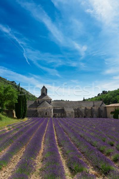 Abbey Senanque and Lavender field, France Stock photo © neirfy