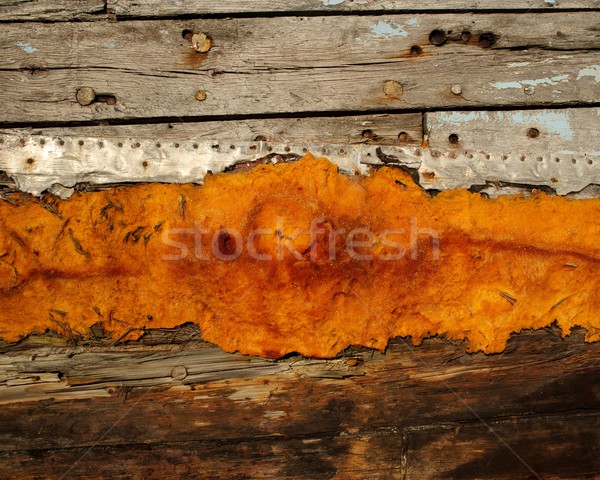 Beschädigt Holz Baum Wand abstrakten Möbel Stock foto © Nejron