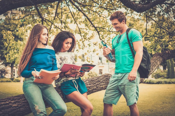 Stock photo: Group of multi ethnic students in a city park 