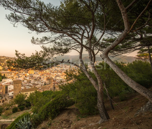 View at Tossa de Mar town, Spain Stock photo © Nejron