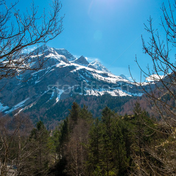 Pyrenees mountains in Cirque de Gavarnie, France Stock photo © Nejron