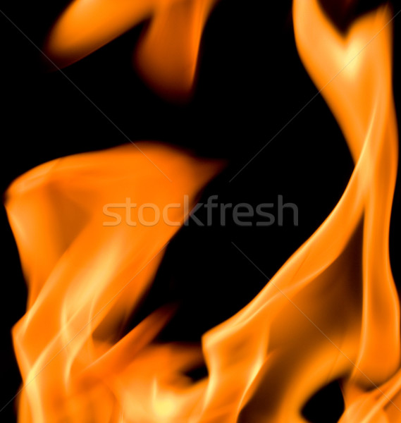 Fire flames isolated on black background Stock photo © Nejron