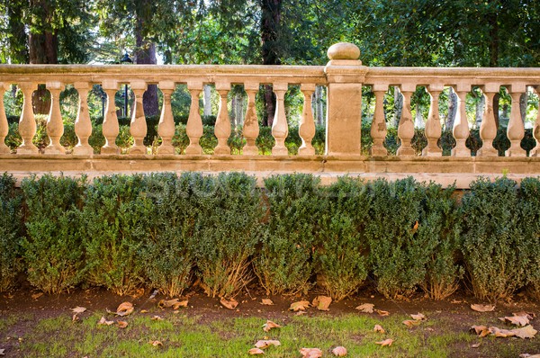 Decorative fence in park Stock photo © Nejron