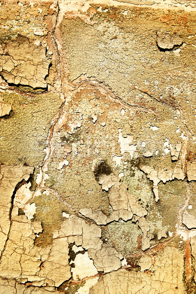 аннотация гранж текстур стены краской черный кирпичных Сток-фото © Nejron