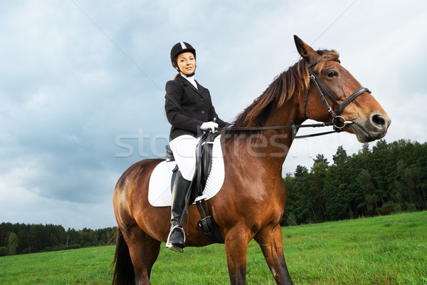 Alegre mulher jovem cavalo campo mulher moda Foto stock © Nejron