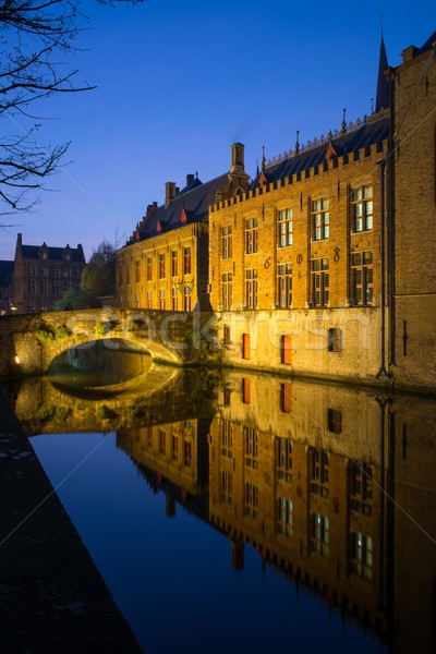 Houses along canal at night in Bruges, Belgium Stock photo © Nejron