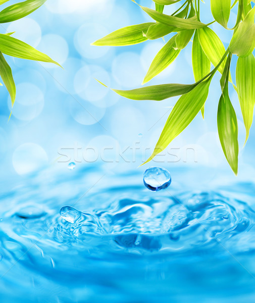 Waterdruppels vallen bamboe blad water voorjaar Stockfoto © Nejron