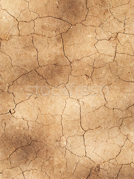 Wyschnięcia gleby tekstury streszczenie tle pustyni Zdjęcia stock © Nejron