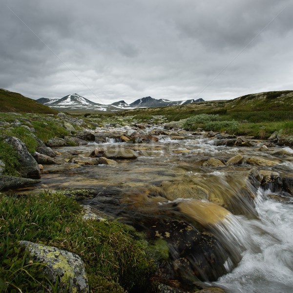 Fast river in scandinavian landscape Stock photo © Nejron